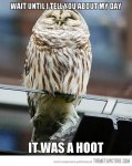 funny-owl-happy-face-laughing.jpg