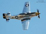Mustang1_DSC_3448.jpg