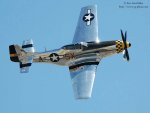 Mustang1_DSC_3448.jpg