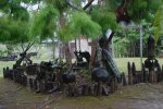 20121227024911.jpg 20121227024911.jpg