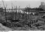 Bundesarchiv_Bild_183-2008-0513-500_Danzig_Westerplatte_Wald.jpg