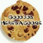 cookie_icon826.jpg