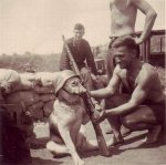 German-soldiers-make-a-dog-pose-WWII.jpg